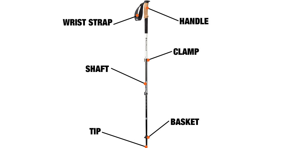 walking pole anatomy diagram